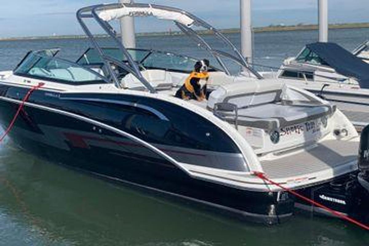 Used 2019 Formula 310 FX Bowrider | 31ft