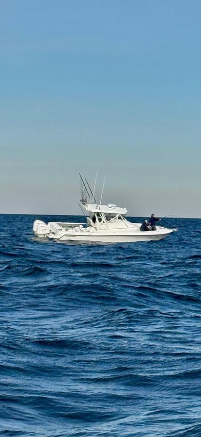 Used 2004 Contender 31 Fish Around | 31ft