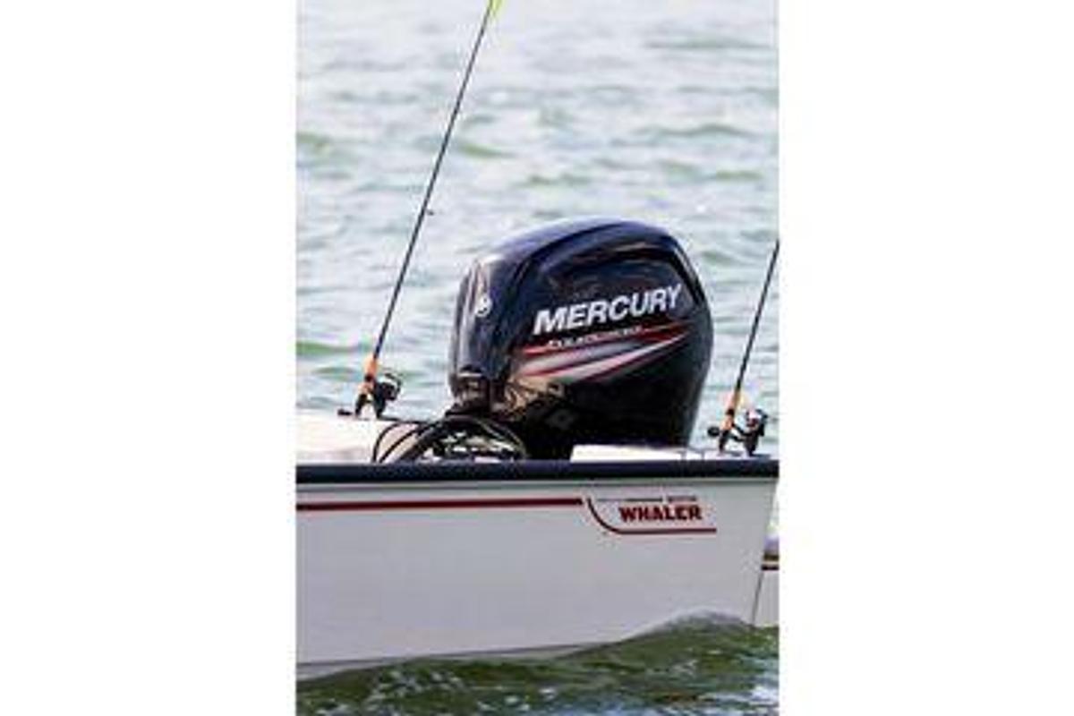Used 2022 Boston Whaler 17 Montauk | 17ft