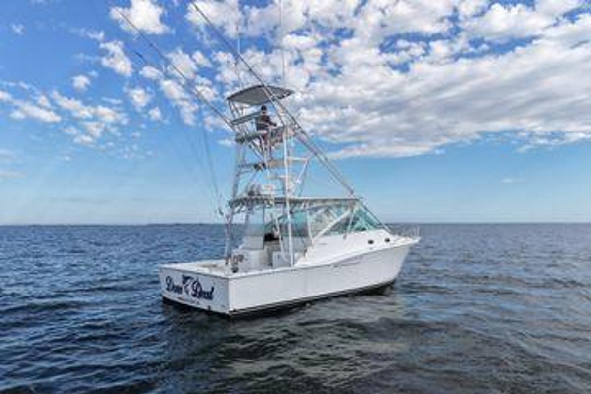 Used 2001 Cabo 35 Express | 35ft