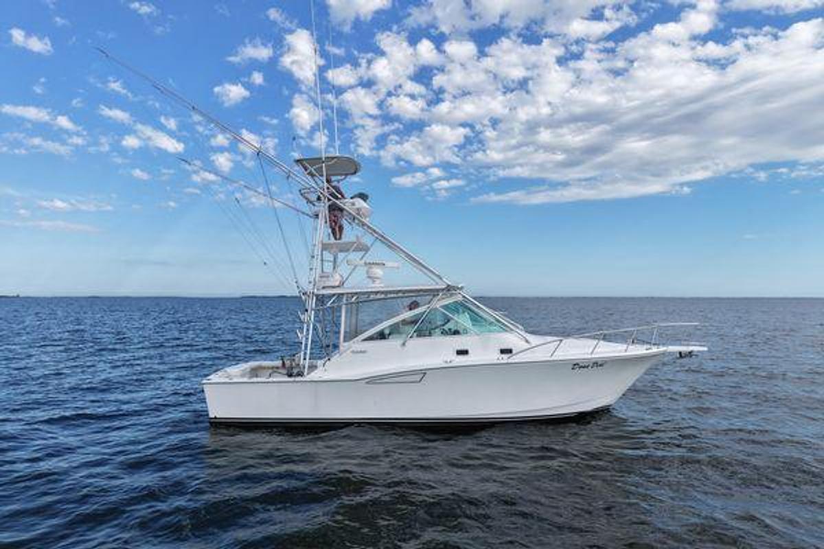 Used 2001 Cabo 35 Express | 35ft