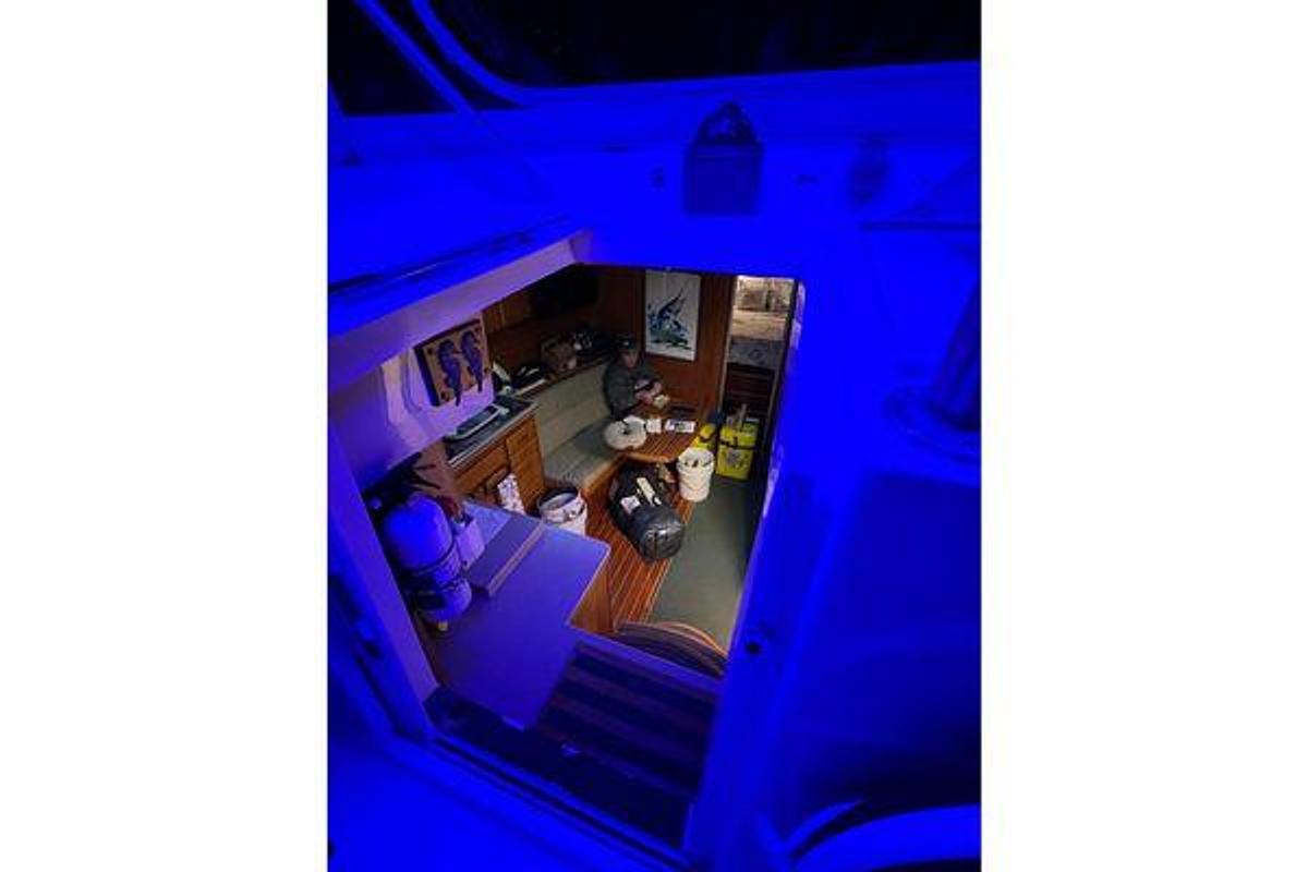 Used 1992 Luhrs 380 Open | 38ft