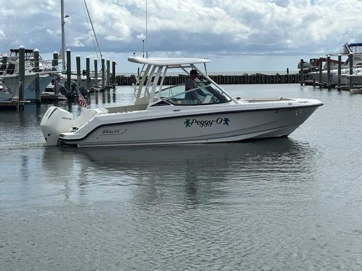 Used 2022 Boston Whaler 240 Vantage | 24ft