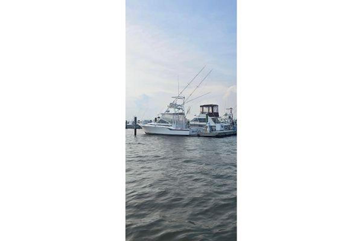 Used 1995 31' Blackfin 31 Combi | 31ft