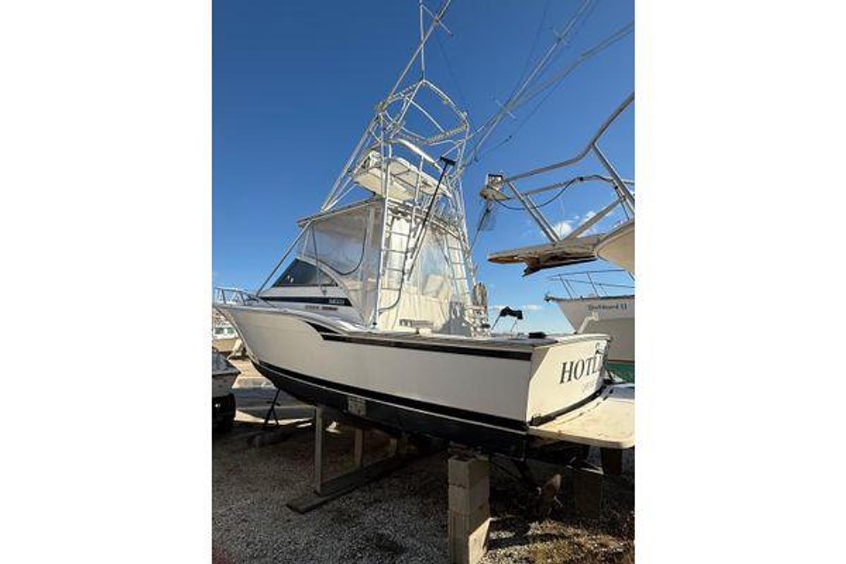 Used 1995 31' Blackfin 31 Combi | 31ft