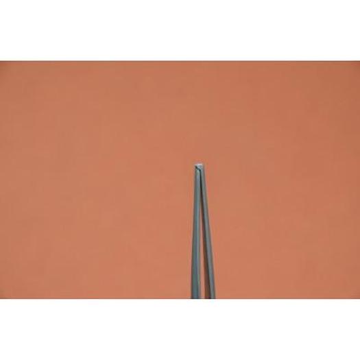 PINCE DISSECTION A/G FINE 13cm (TISSUE FORCEPS 1x2 TEETH FINE)