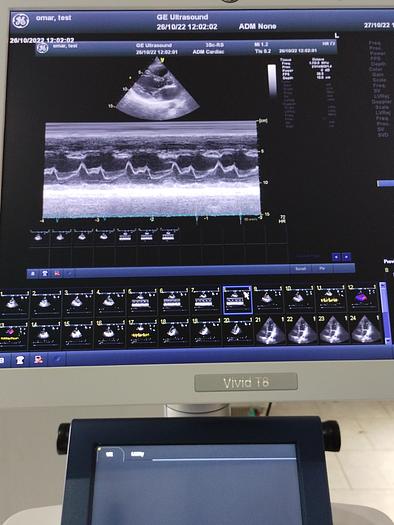 Gebraucht GE Vivid T8