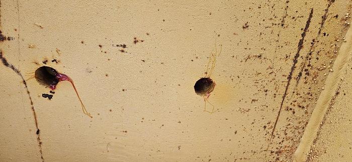 Used 24" Excavator Compaction Wheel