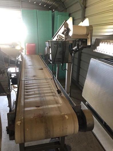 Used Fresh Pack Blueberry Packing Line