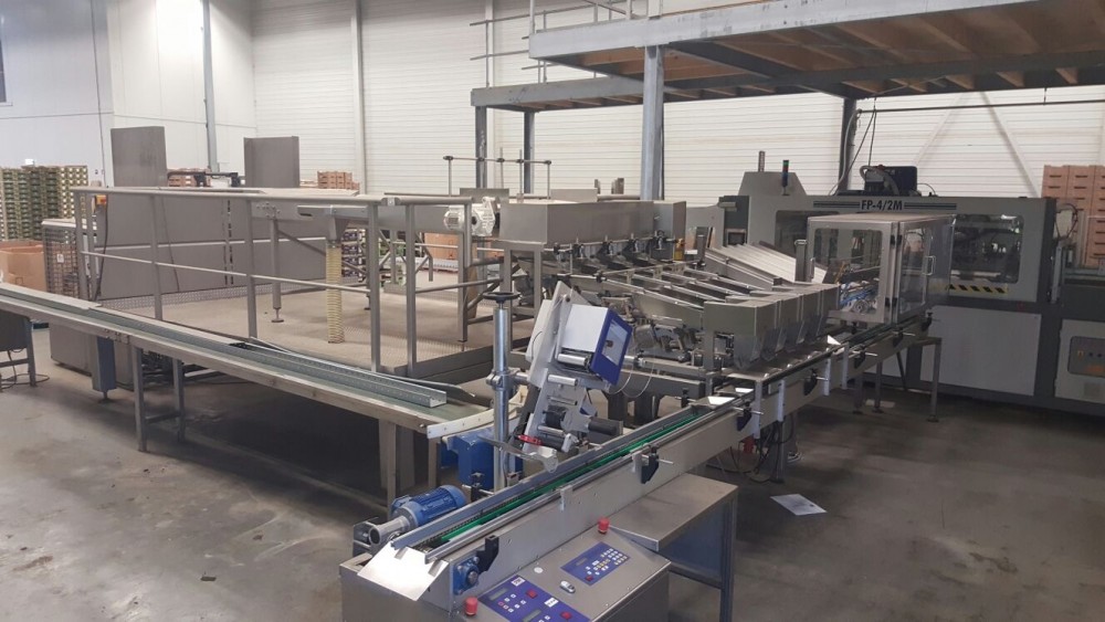 Used Newweigh lineair weighing and packing line
