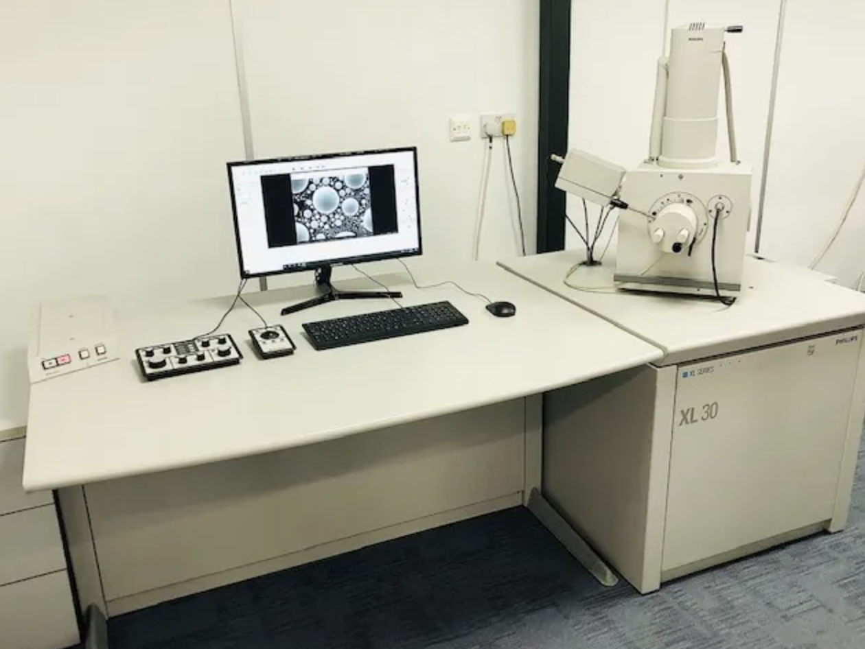 Used 1994 Philips XL30 Tungsten Filament SEM with Point Electronics Upgrade