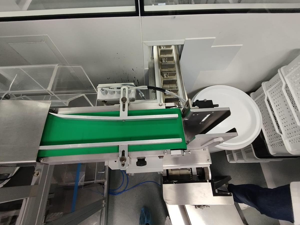 Usado Maquina estuchadora FAMAR  + emblistadora TECNOFORMATI . SALVA