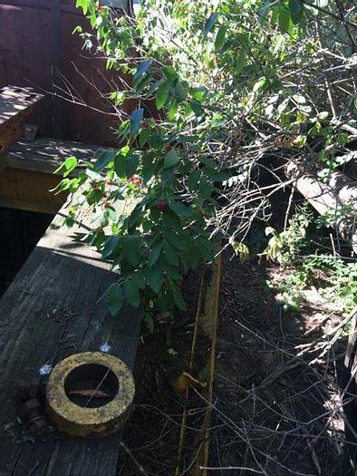 Used 0 Keystone 50 Cable Tool Rig