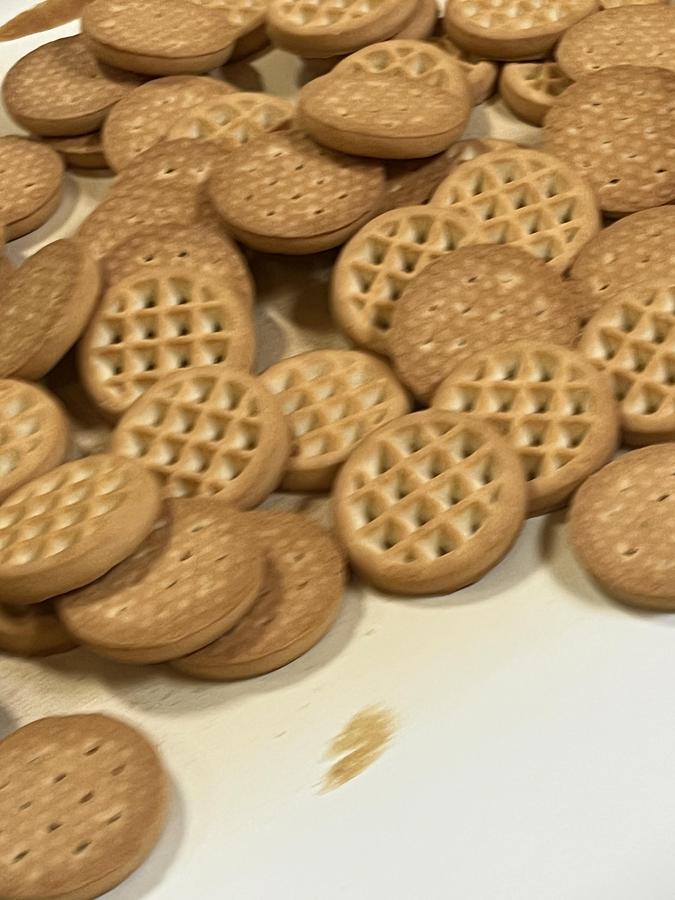 Usato Imaforni biscuit forming line