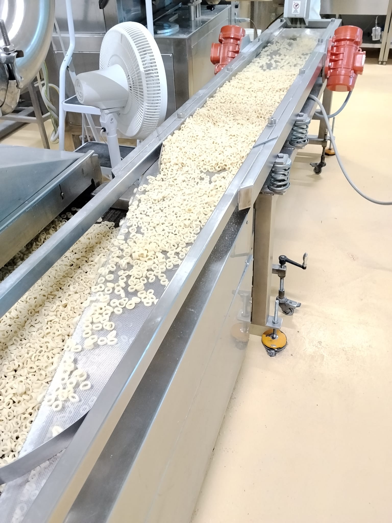 Usato Complete Fresh Pasta / Ravioli Production Line Italpast – Pama Parsi – Pentavac 200 kg/h