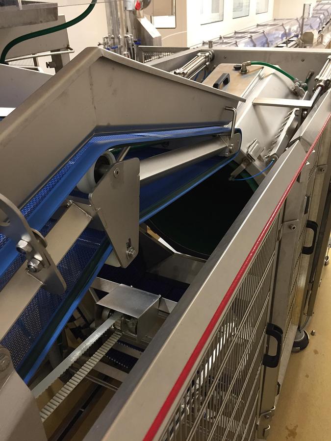 Usato Cosmo fruit and vegetable drying line