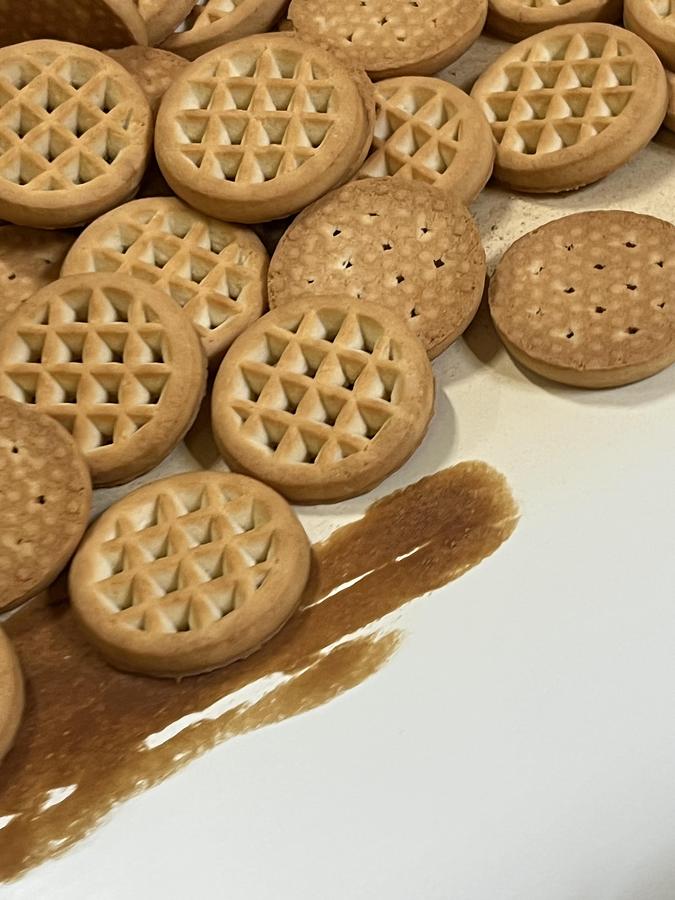 Usato Imaforni biscuit forming line