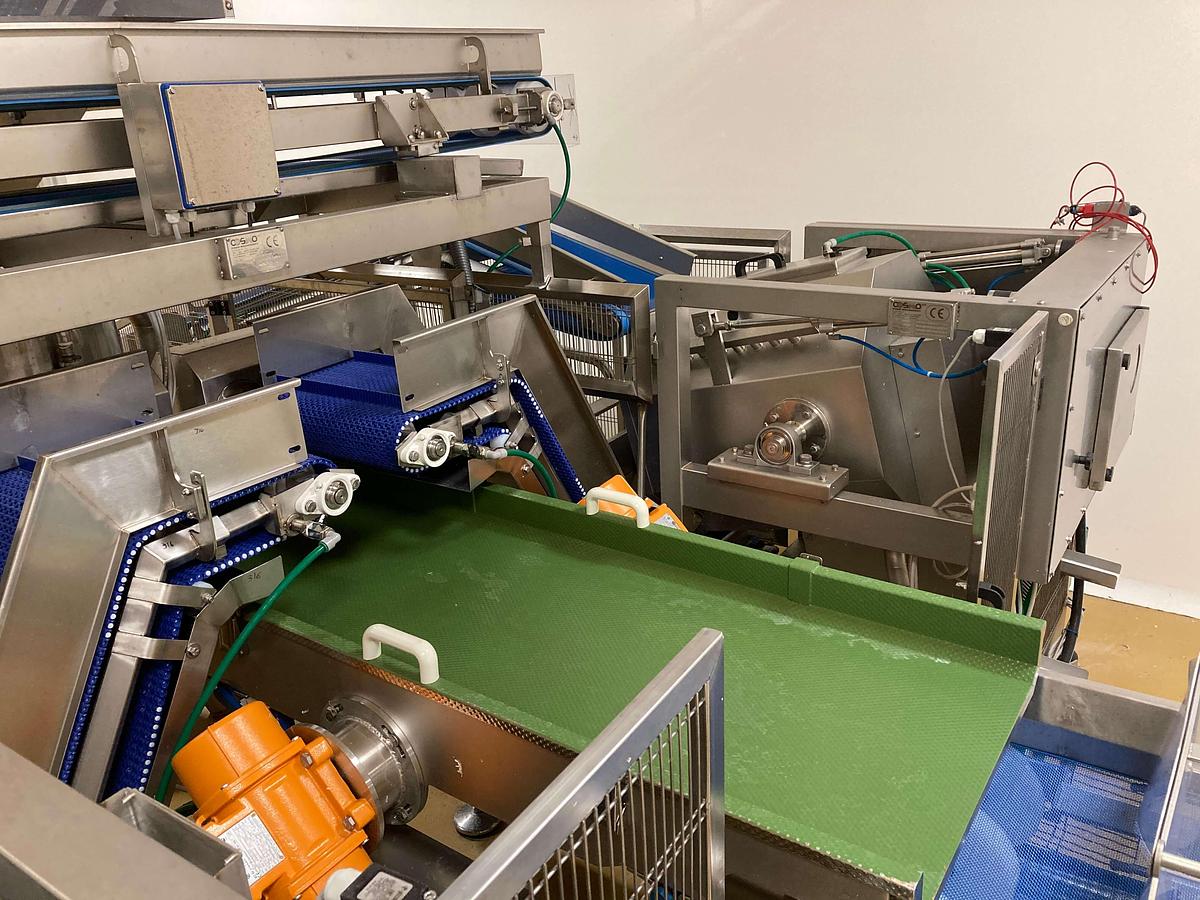 Usato Cosmo fruit and vegetable drying line