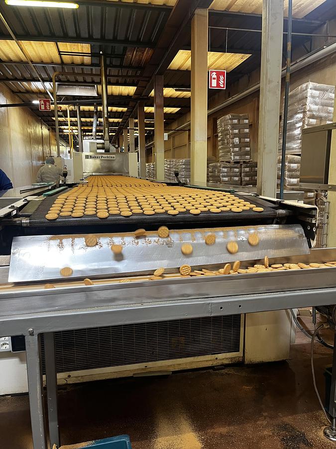 Usato Imaforni biscuit forming line