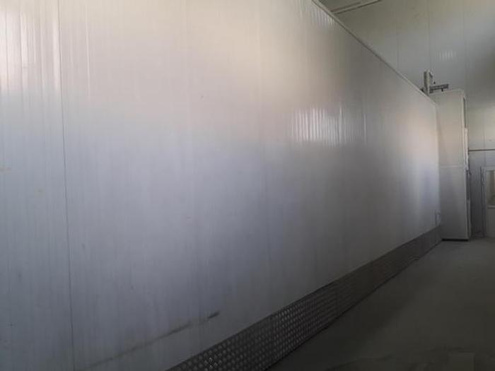 Usato COMPLETE BRAIBANTI LONG-CUT PASTA LINE.