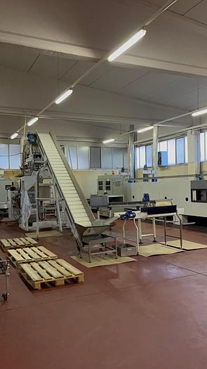 Usato COMPLETE PLANT FOR THE PRODUCTION OF SHORTBREAD BISCUITS