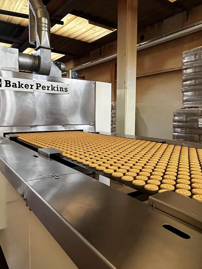 Usato Imaforni biscuit forming line