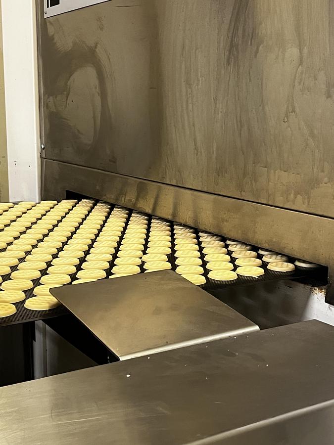 Usato Imaforni biscuit forming line