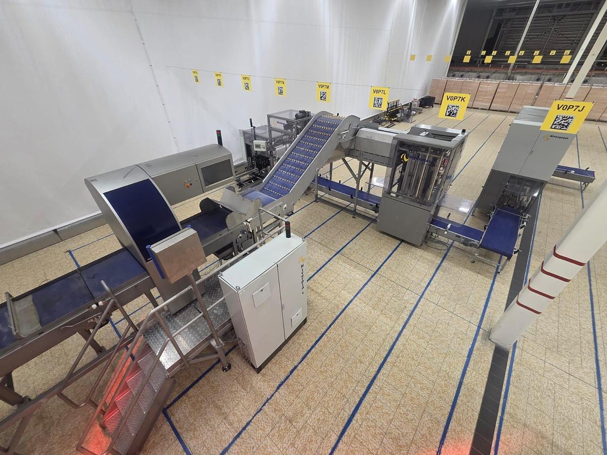 Usato 2016 Niverplast Packaging line