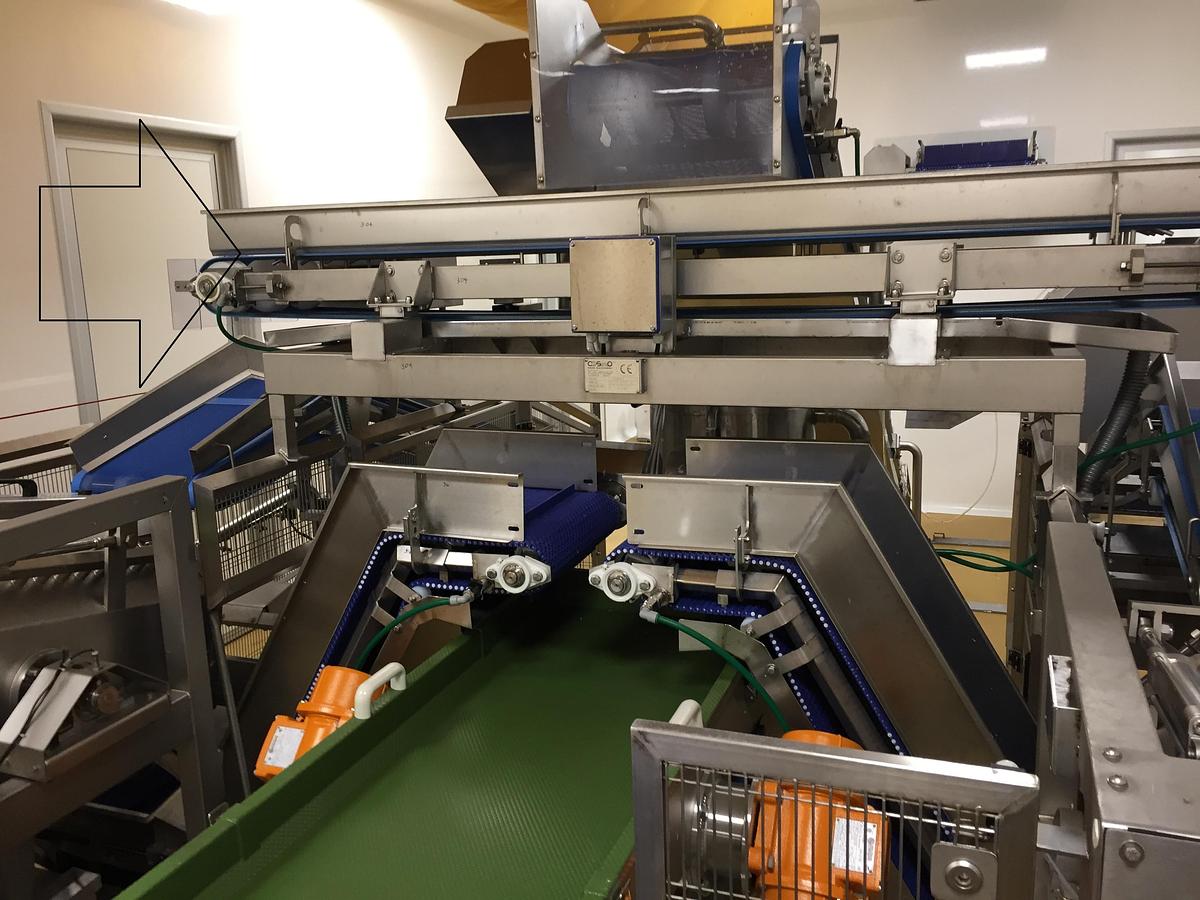 Usato Fruit and vegetable processing plant