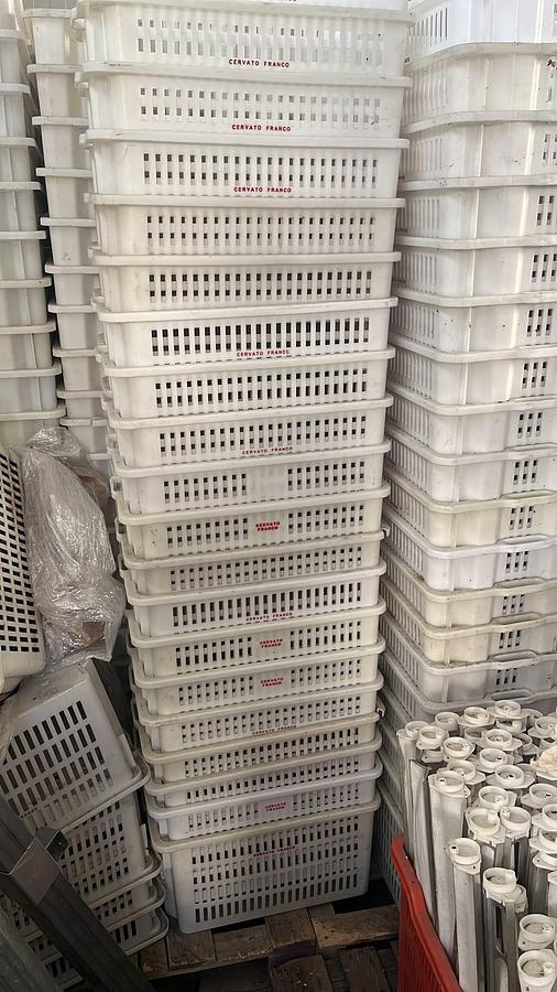 Usato Lot of 100 Like-New Plastic Bread Crates 600 x 400 mm Bakery Trays