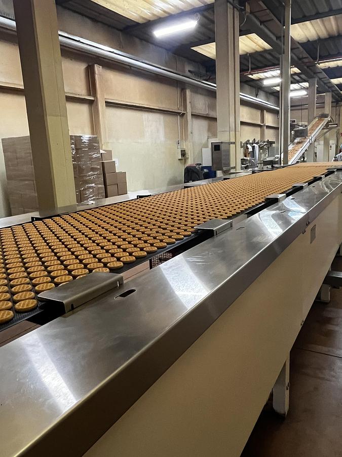 Usato Imaforni biscuit forming line