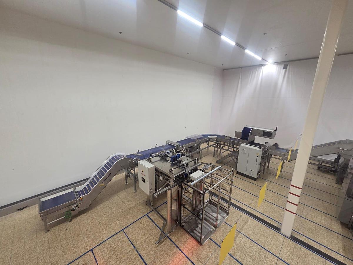 Usato 2016 Niverplast Packaging line