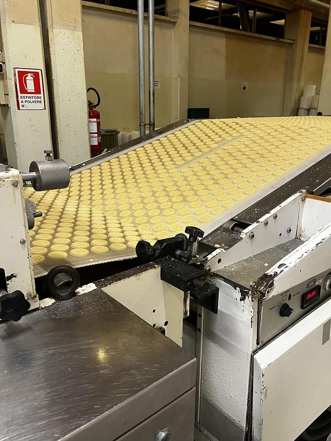 Usato Imaforni biscuit forming line