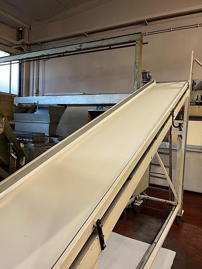 Usato COMPLETE PLANT FOR THE PRODUCTION OF SHORTBREAD BISCUITS