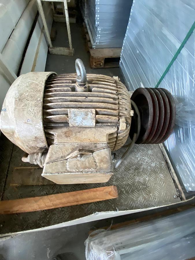 Usato Pavan pasta press