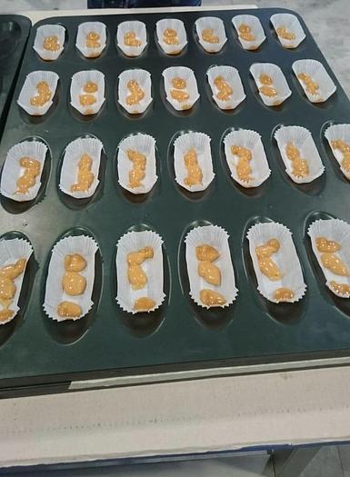 Usato Alimec Injection Machine