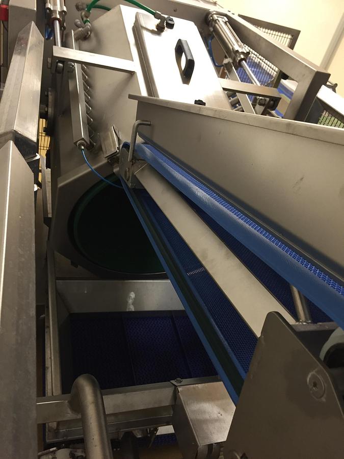 Usato Cosmo fruit and vegetable drying line