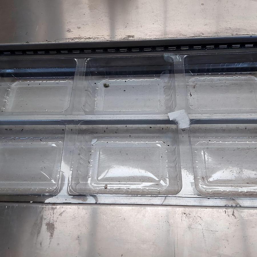 Used Colimatic Thermoforming machine