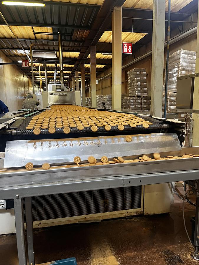 Usato Imaforni biscuit forming line