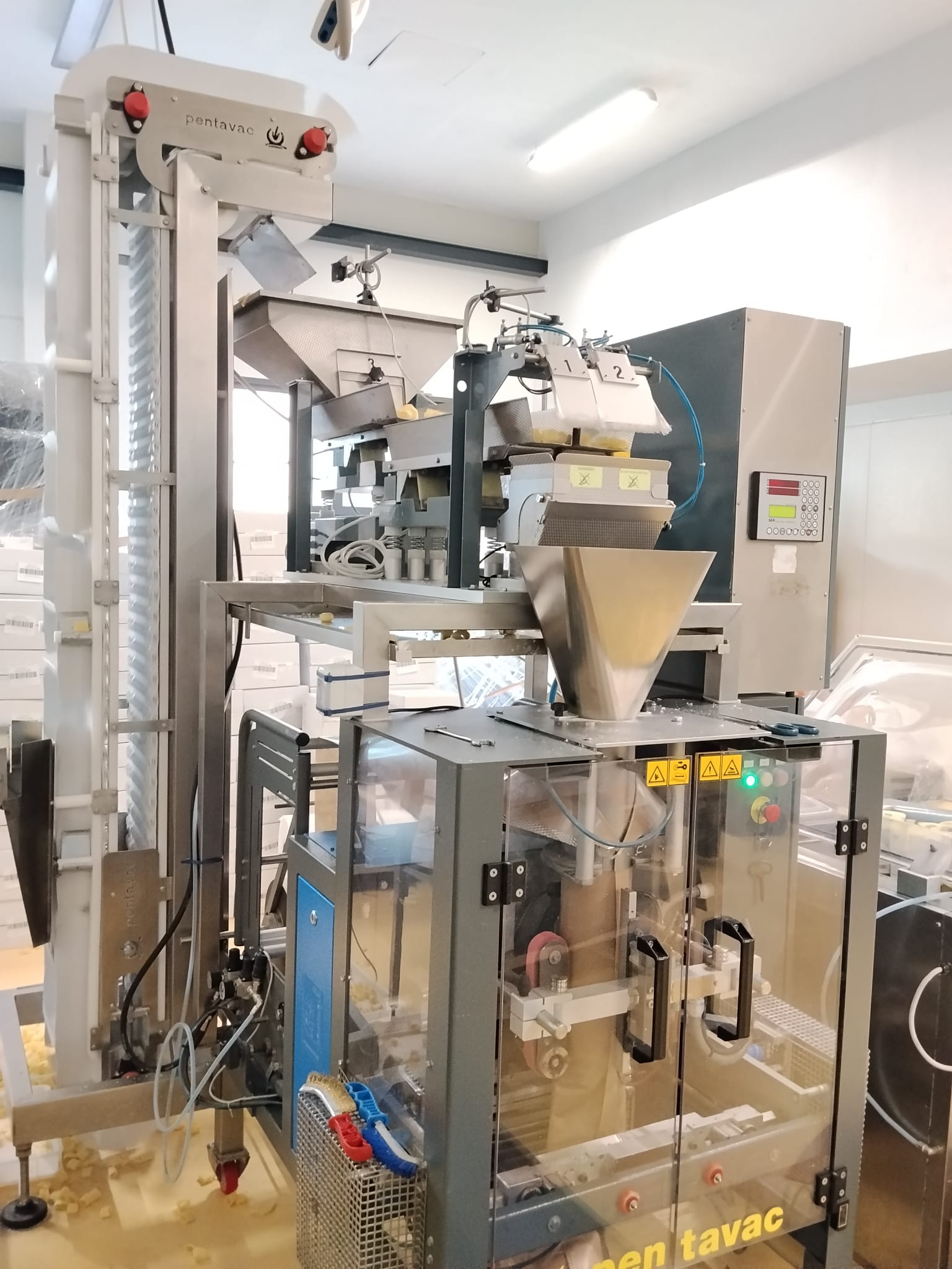 Usato Complete Fresh Pasta / Ravioli Production Line Italpast – Pama Parsi – Pentavac 200 kg/h
