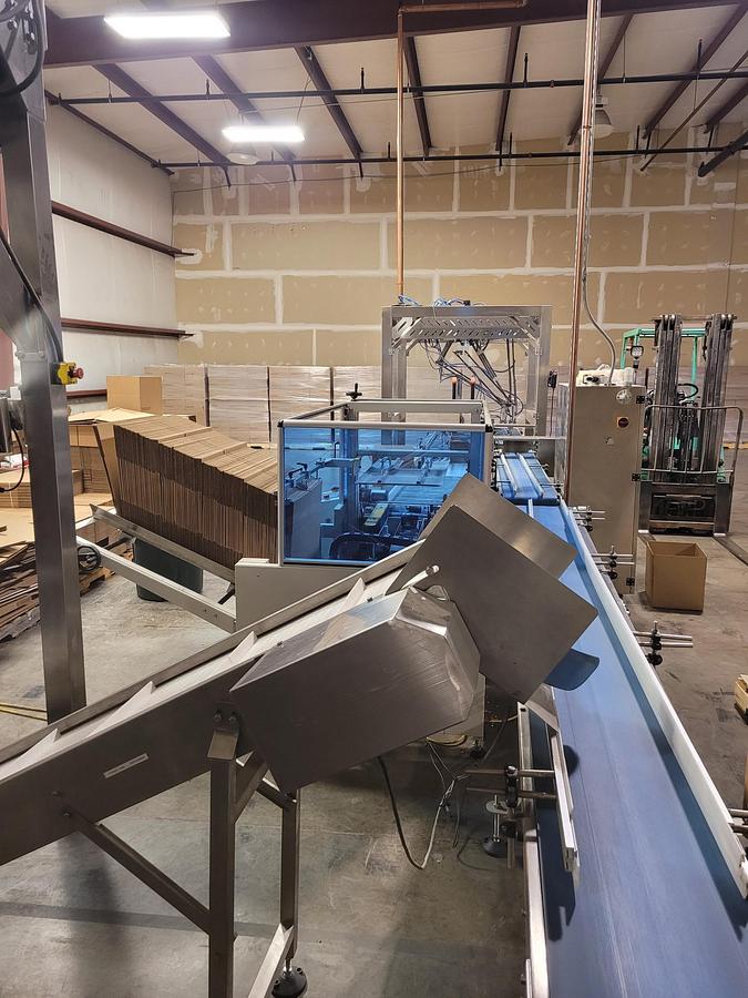 Usato 2020 TDI Packsys Vertical packaging machine with multihead