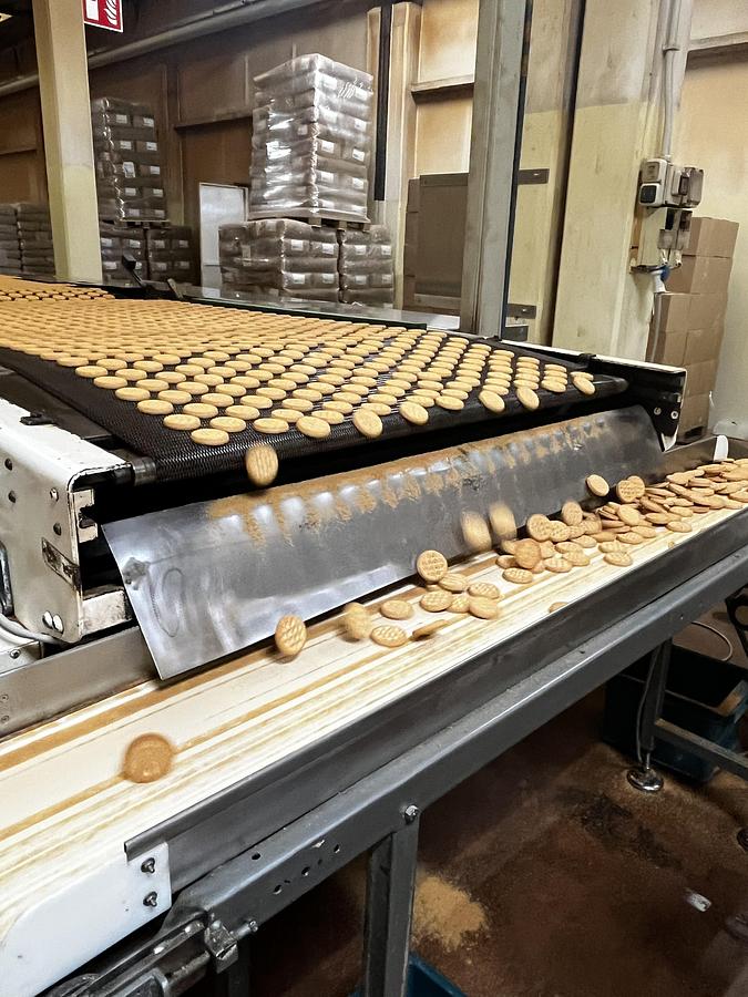 Usato Imaforni biscuit forming line