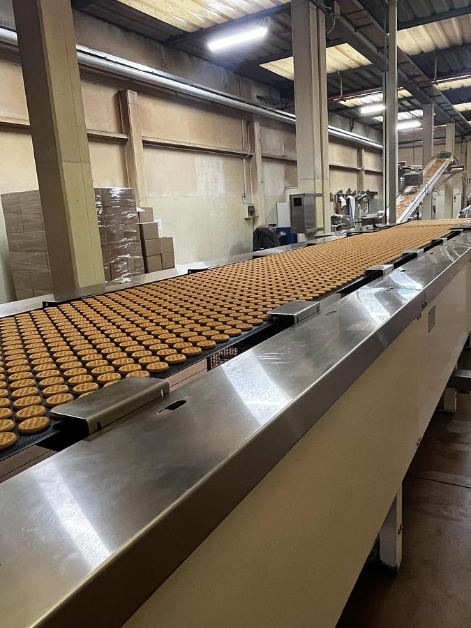 Usato Imaforni biscuit forming line