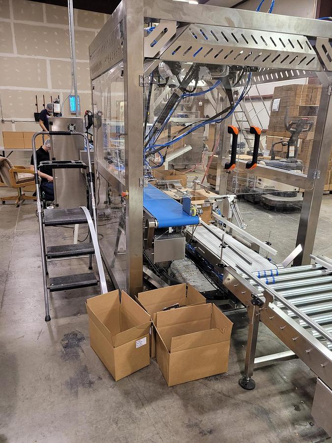 Usato 2020 TDI Packsys Vertical packaging machine with multihead