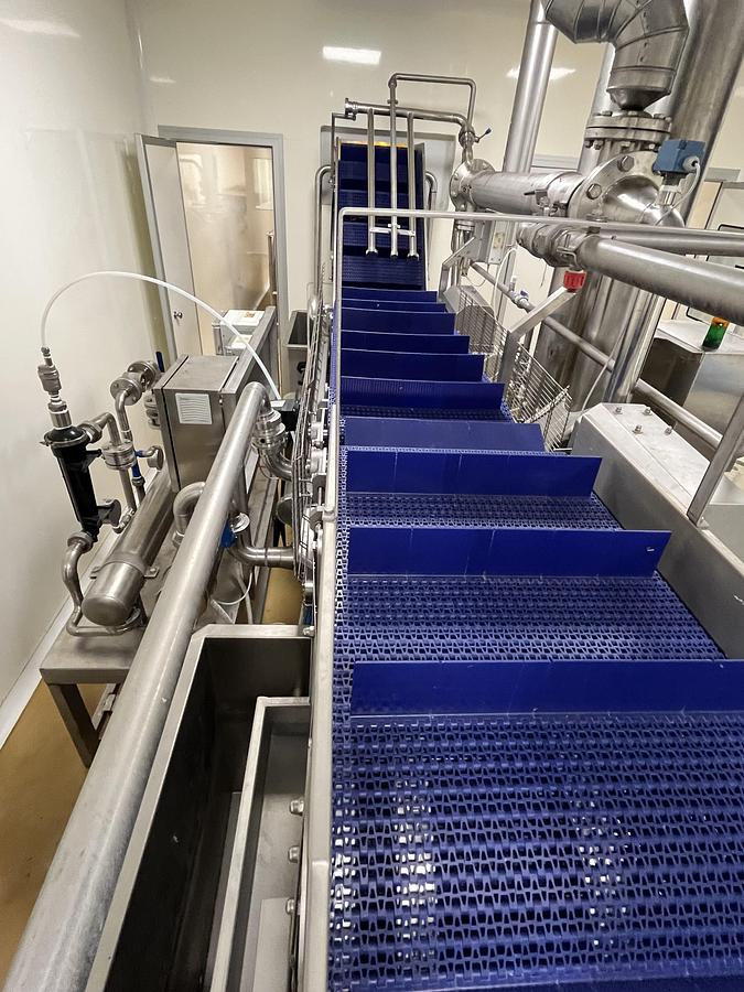 Usato Cosmo fruit and vegetable washing line