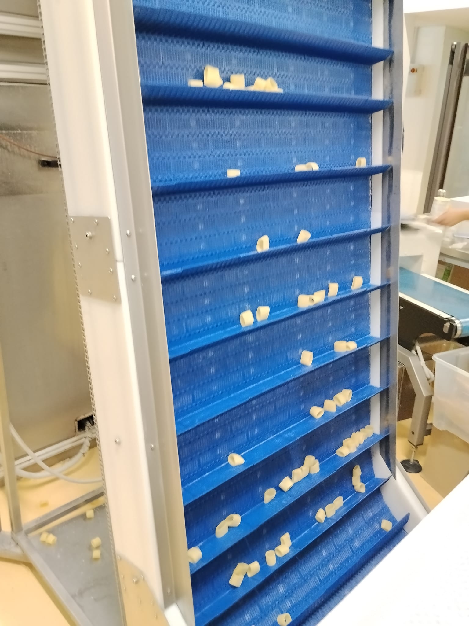Usato Complete Fresh Pasta / Ravioli Production Line Italpast – Pama Parsi – Pentavac 200 kg/h