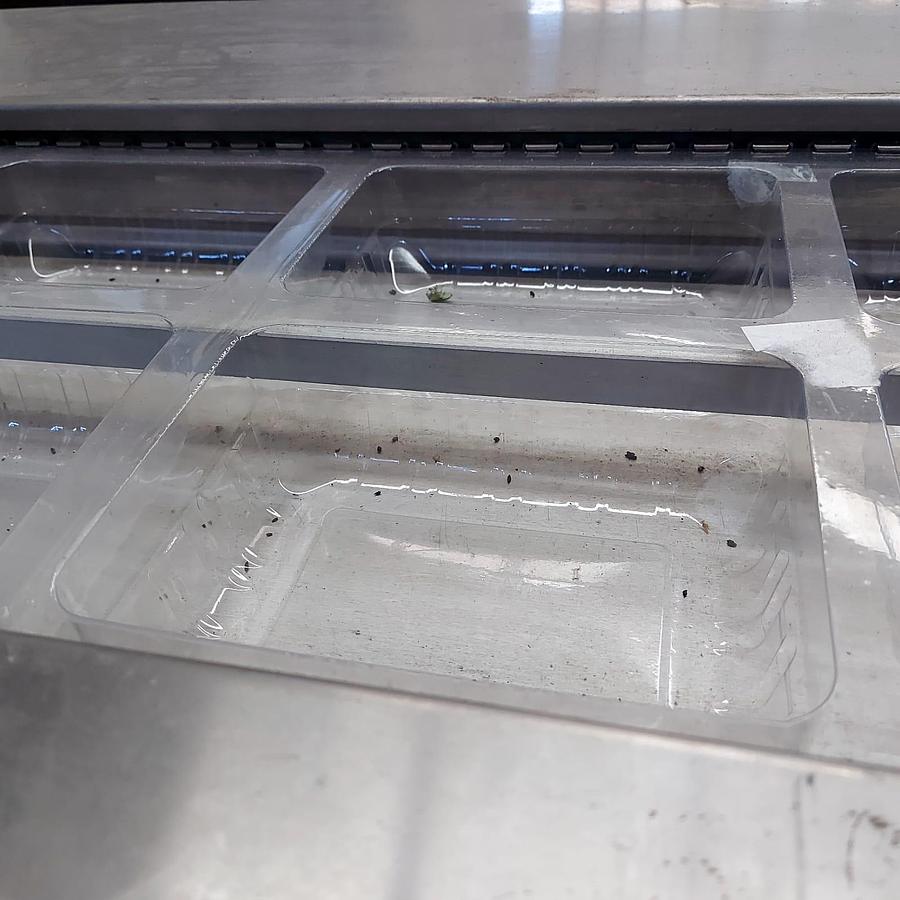 Used Colimatic Thermoforming machine