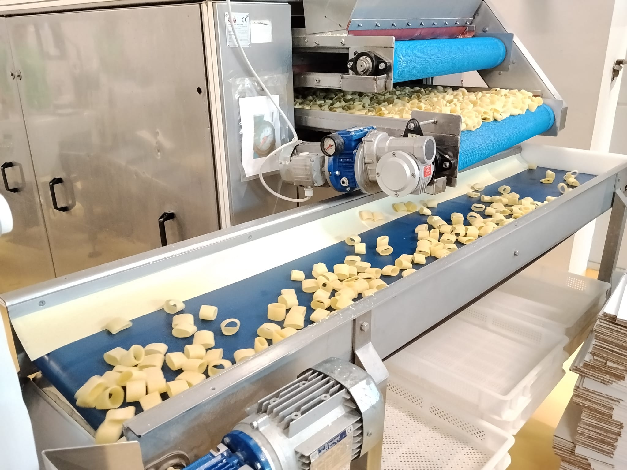 Usato Complete Fresh Pasta / Ravioli Production Line Italpast – Pama Parsi – Pentavac 200 kg/h