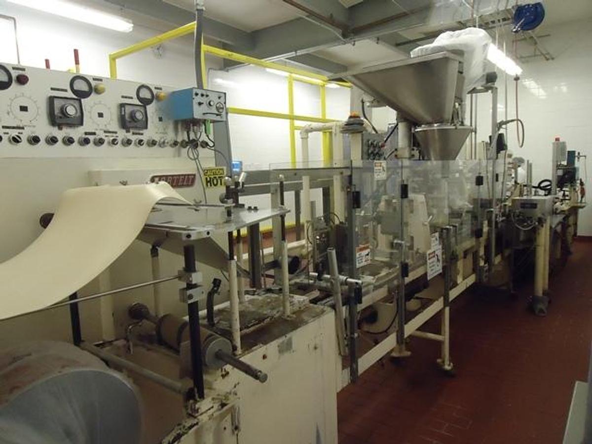 Used Bartelt IM-7 Pouch Packager & Cartoning Line