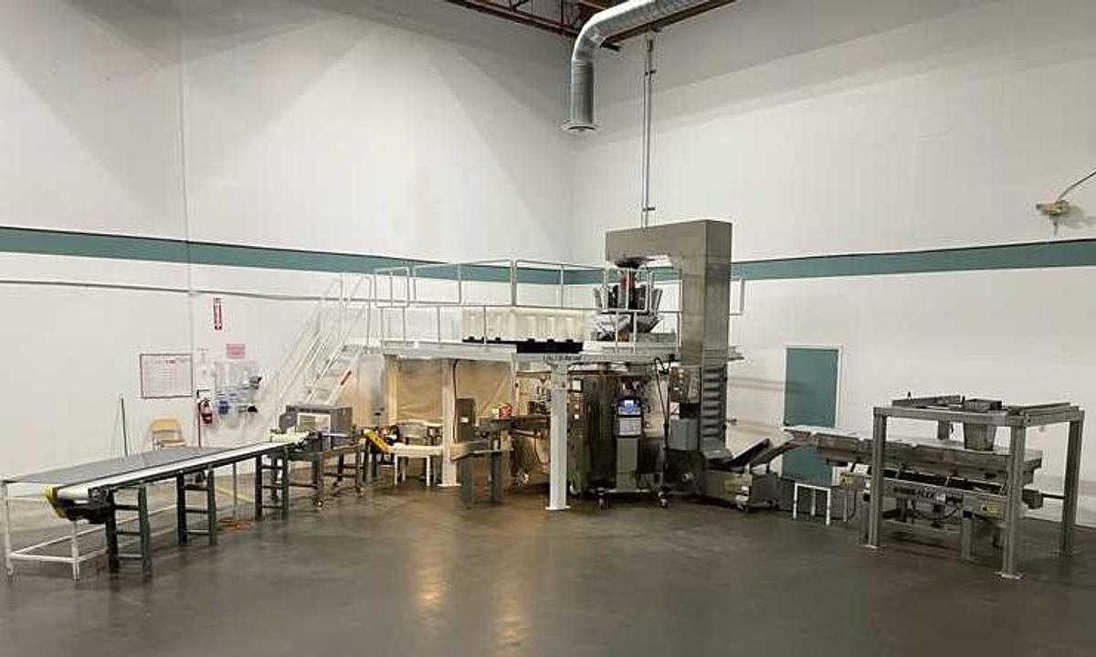Used Kenwei 10 Head Rotary Scale/Filler, with Bucket Elevator